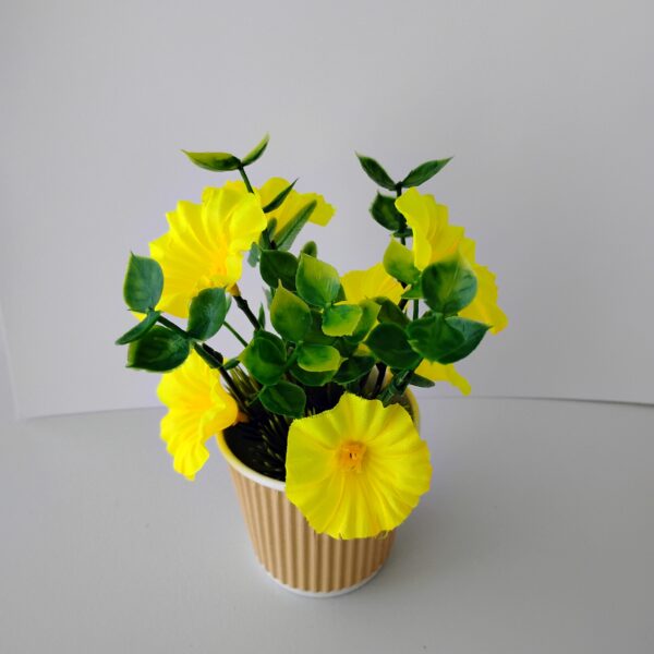 Pretty little plant with yellow flowers