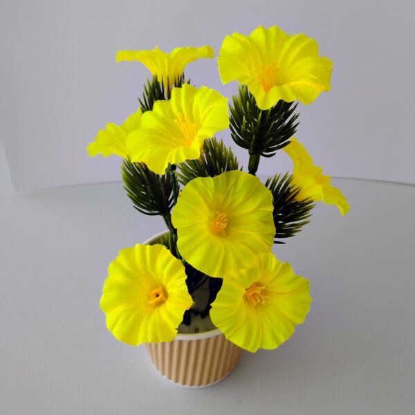 Small pine plant with yellow flowers